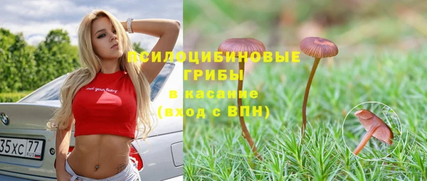 МДПВ Магадан