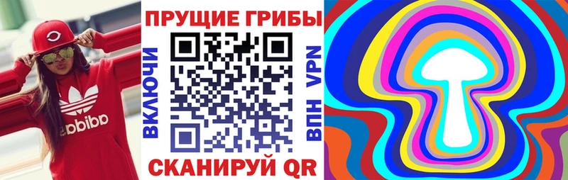 даркнет сайт  Калуга  Галлюциногенные грибы мухоморы 