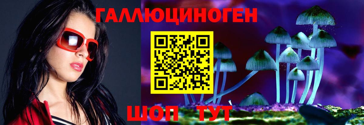 Псилоцибиновые грибы MAGIC MUSHROOMS  Вход с VPN  Калуга 